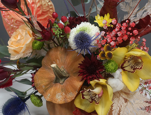 Composition in a Pumpkin with Anthurium, 'Evening Fairy Tale' photo